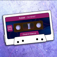 Fleax - So what