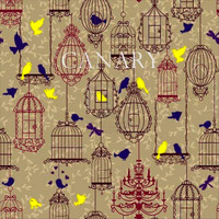 Canary - Canary