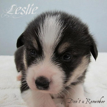Leslie - Don't You Remember