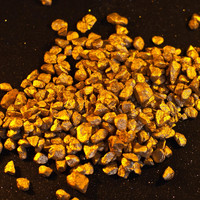 The Golden Nuggets - Referendum Day