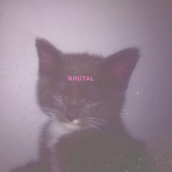 Birdengine - Brutal