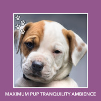 Dog Chill Out Music - Maximum Pup Tranquility Ambience