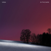 Mida - In the Dark
