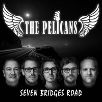 The Pelicans - Seven Bridges Road