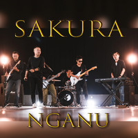 Sakura - Nganu (Live)