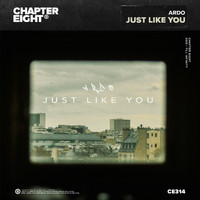 Ardo - Just Like You (Explicit)