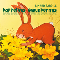 Linard Bardill - Doppelhas Gwundernas