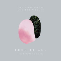 The Lighthouse And The Whaler - Feel It All (Something to Say)