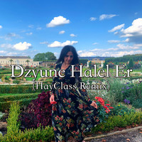 Hayk - Dzuyne Halel Er (HayClass Remix)
