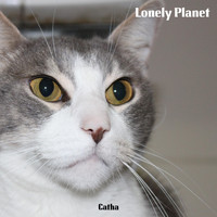 Catha - Lonely Planet