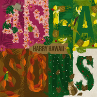 Harry Hawaii - 4 Seasons