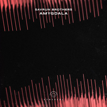 Savrun Brothers - Amygdala