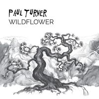 Paul Turner - Wildflower