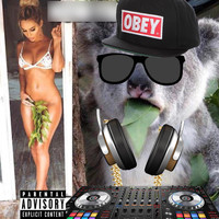 DJ Fabi - Back to the Underground 9 (Explicit)