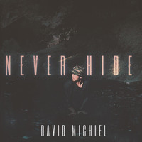 David Michiel - Never Hide