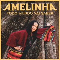 Amelinha - Todo Mundo Vai Saber