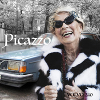 Picazzo - Volvo 240