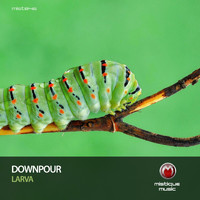 Downpour - Larva