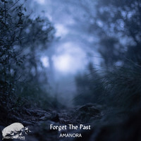 AMANORA - Forget the Past