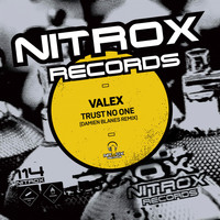 Valex - Trust No One (Damien Blanes Remix)