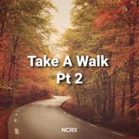 Dicky saputra - Take A Walk Pt. 2