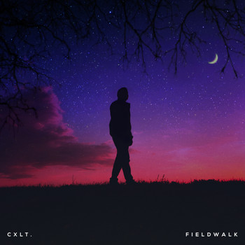 cxlt. - Fieldwalk