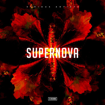 Various Artists - Supernova