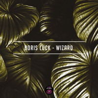 Boris Luck - Wizard