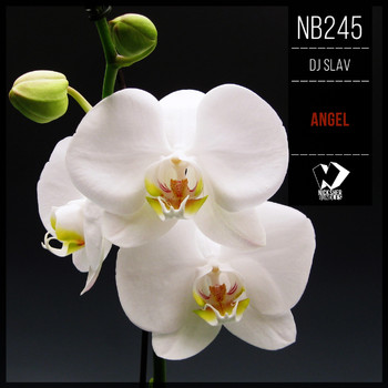 Dj Slav - Angel