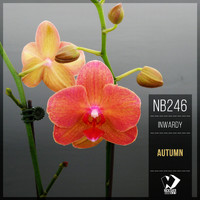 Inwardy - Autumn