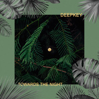 Deepkey - Towards the Night