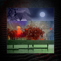 The Pulse Diaries - The Pulse Diaries, Vol 3