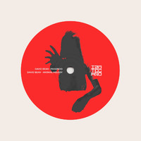 David Bean - Paranoid / Anomal Melody