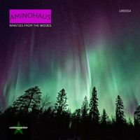 Aminohaus - Whistles from the Woods