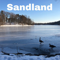 FLOP ARTIST - Sandland