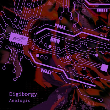 DIGIBORGY - Analogic