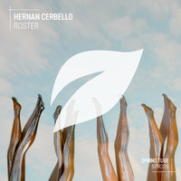 Hernan Cerbello - Roster