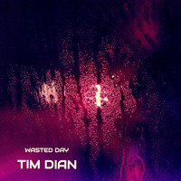 Tim Dian - Wasted Day