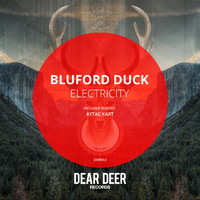 Bluford Duck - Electricity