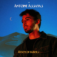 Antoine Assayas - Room of Echoes