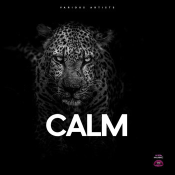 Various Artists - Calm