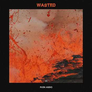 Various Artists - Wasted