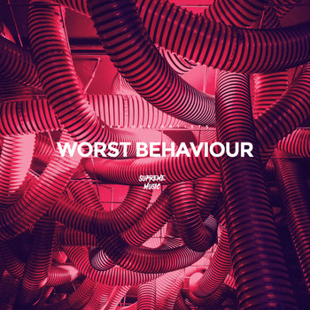 Various Artists - Worst Behaviour