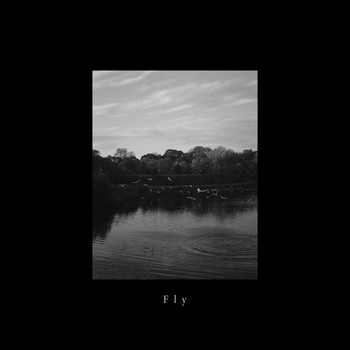 Arrowsmith - Fly
