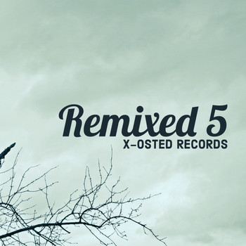Various Artists - Remixed 5