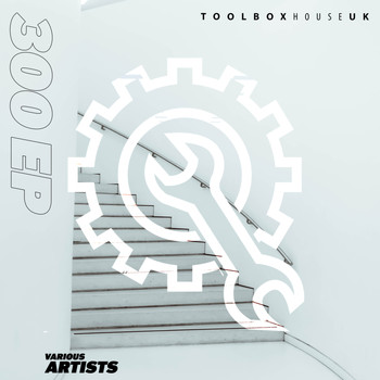 Various Artists - Toolbox House 300