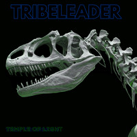 Tribeleader - Temple of Light
