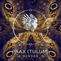 PAAX (Tulum) - Senses