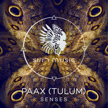 PAAX (Tulum) - Senses