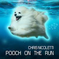 Chris Nicoletti - Pooch on the Run
